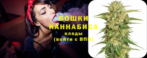 прущие крисы Елабуга
