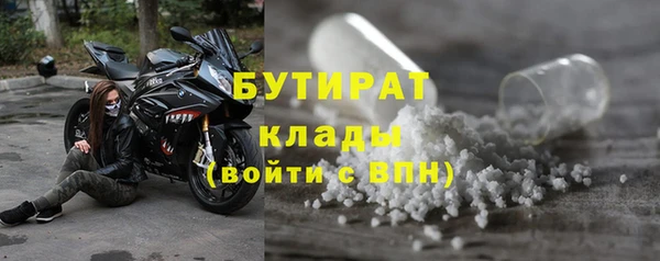 МДПВ Ельня