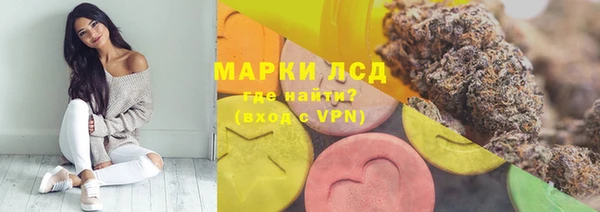 МДПВ Ельня