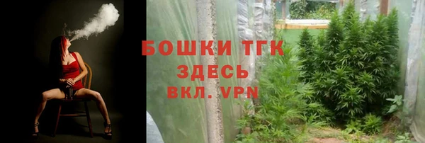 прущие крисы Елабуга