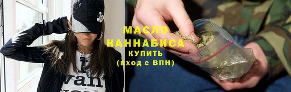 МДПВ Ельня