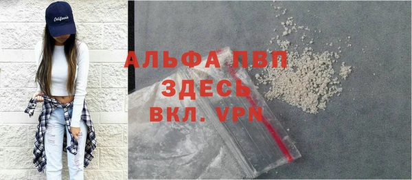 спиды Дмитриев